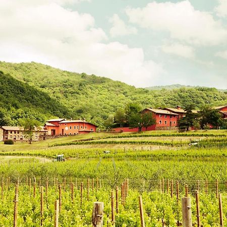 Agriturismo L'Uva E Le Stelle Faedis ภายนอก รูปภาพ