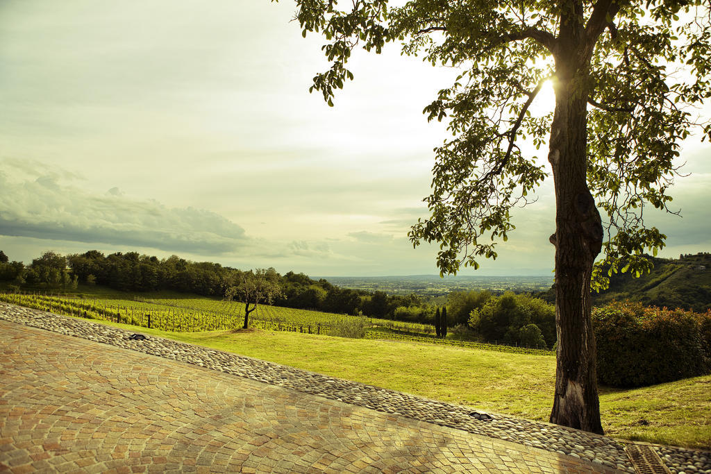 Agriturismo L'Uva E Le Stelle Faedis ภายนอก รูปภาพ