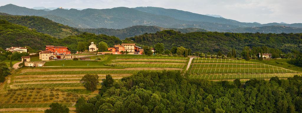 Agriturismo L'Uva E Le Stelle Faedis ภายนอก รูปภาพ