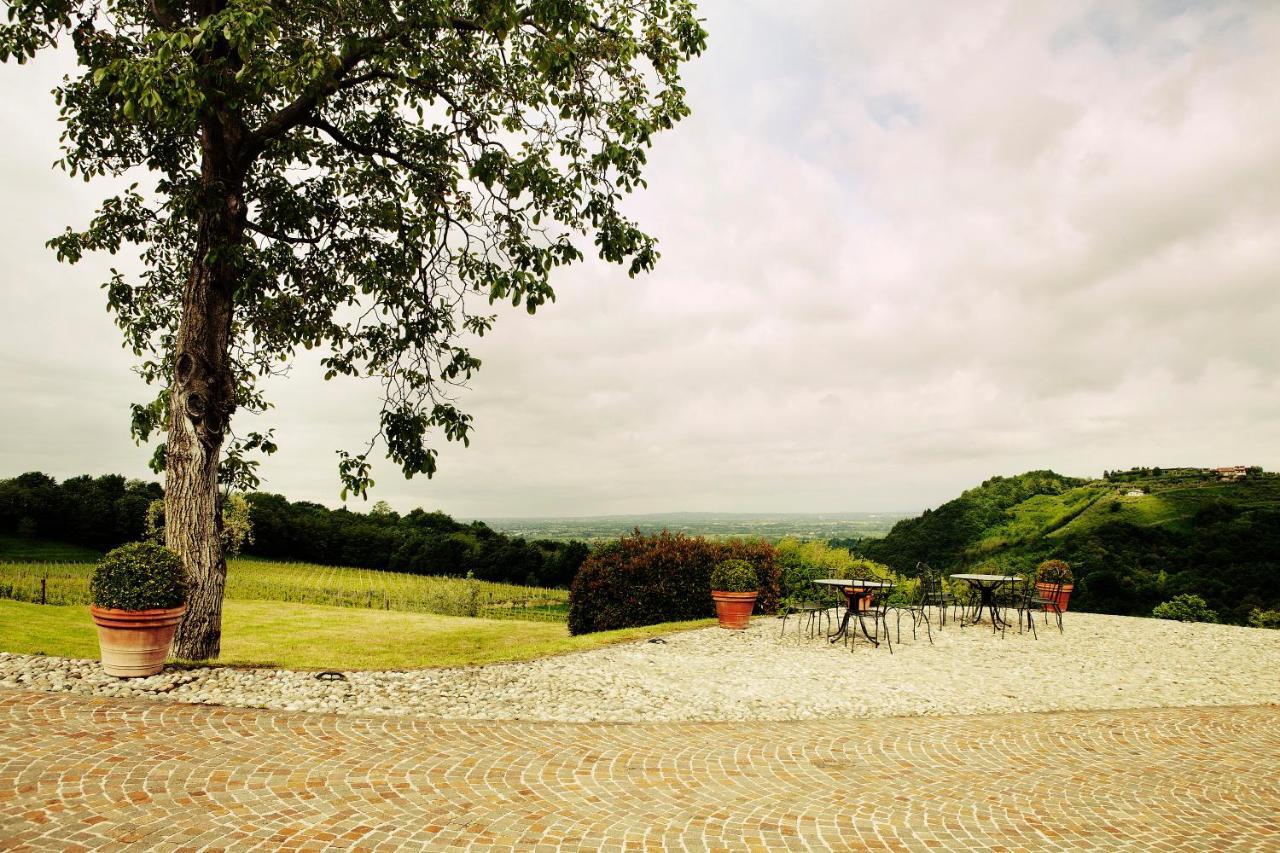 Agriturismo L'Uva E Le Stelle Faedis ภายนอก รูปภาพ