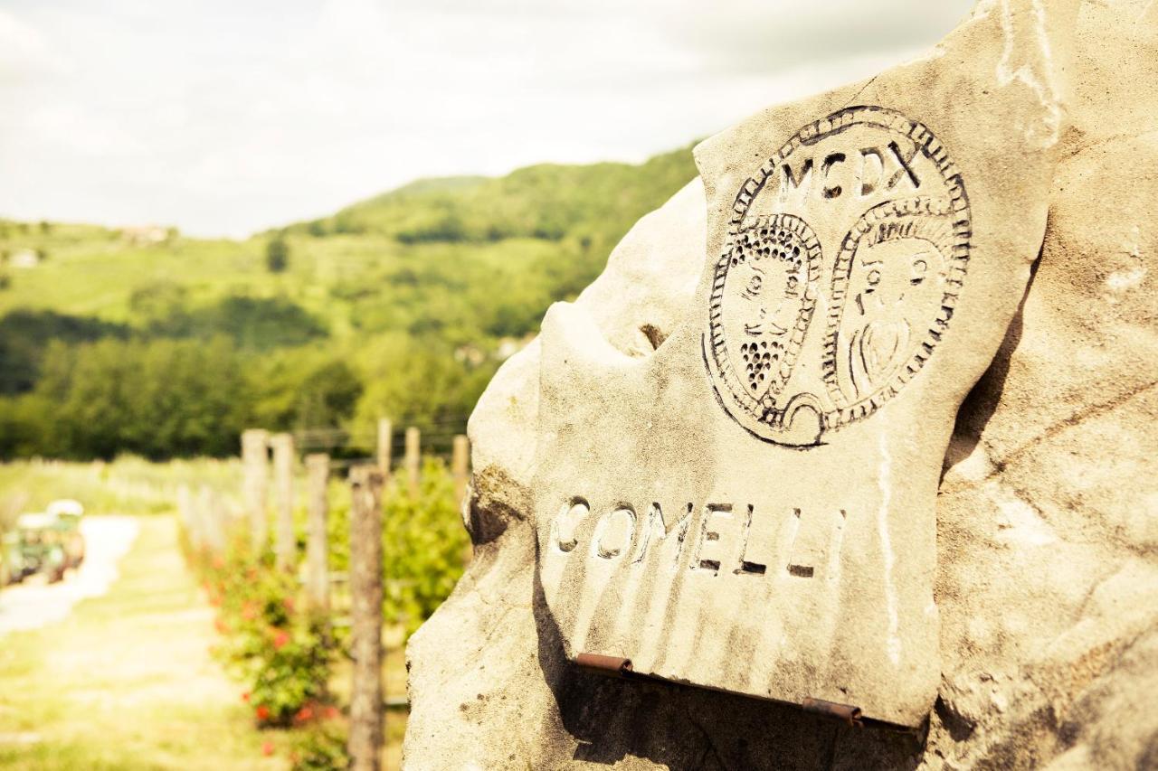 Agriturismo L'Uva E Le Stelle Faedis ภายนอก รูปภาพ