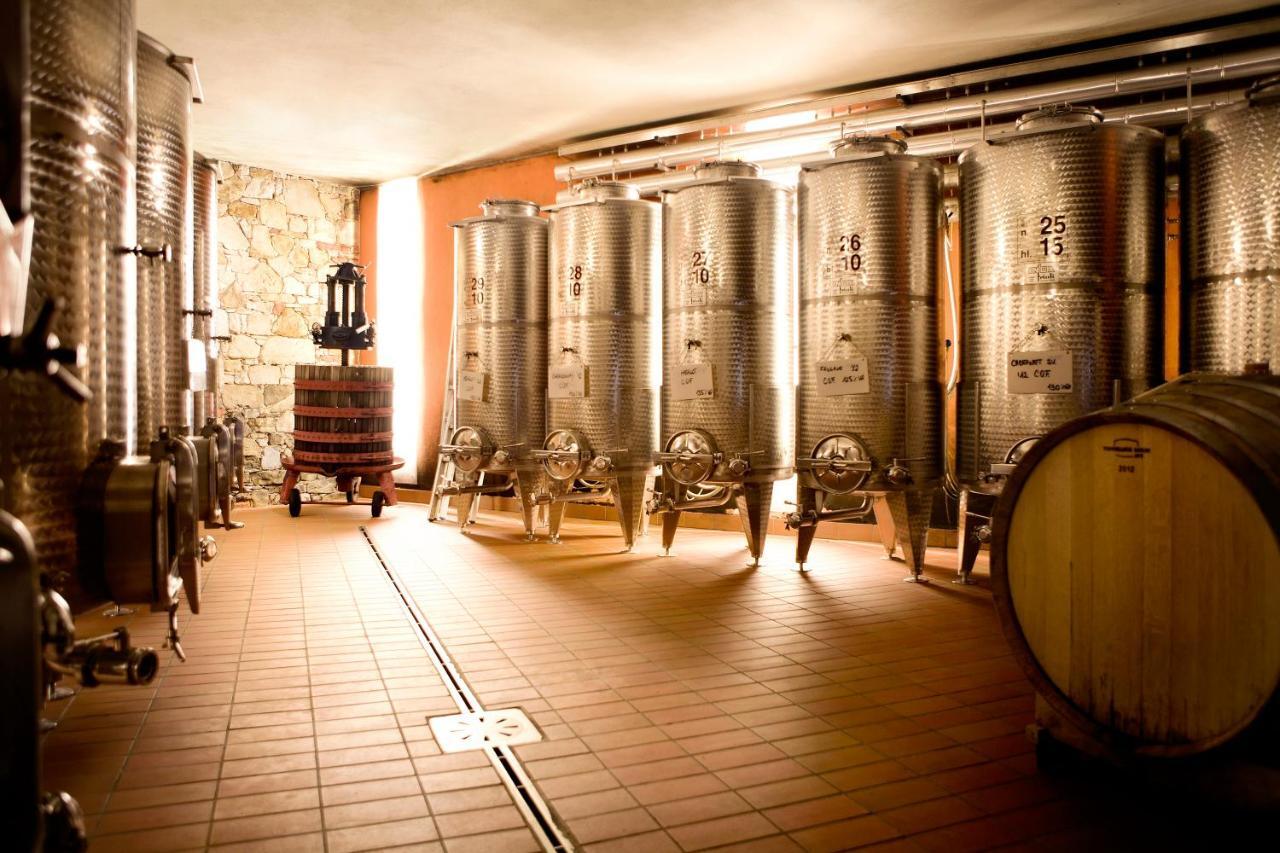 Agriturismo L'Uva E Le Stelle Faedis ภายนอก รูปภาพ